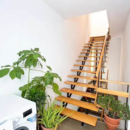 Iq Yellow House Hostel *